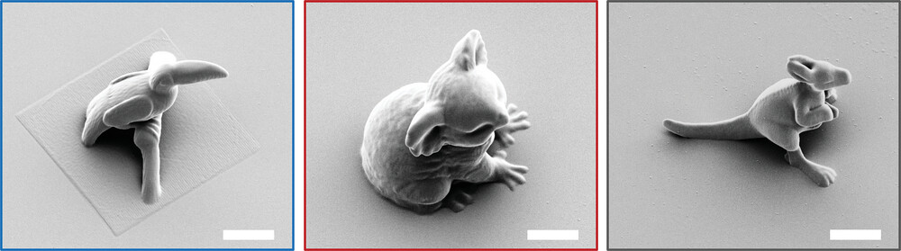 SEM images of 3D microstructures printed with 2PLP