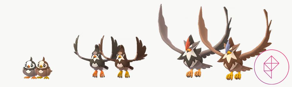 Shiny Starly, Staravia, and Staraptor with their regular forms. All three Shiny forms are more light brown.
