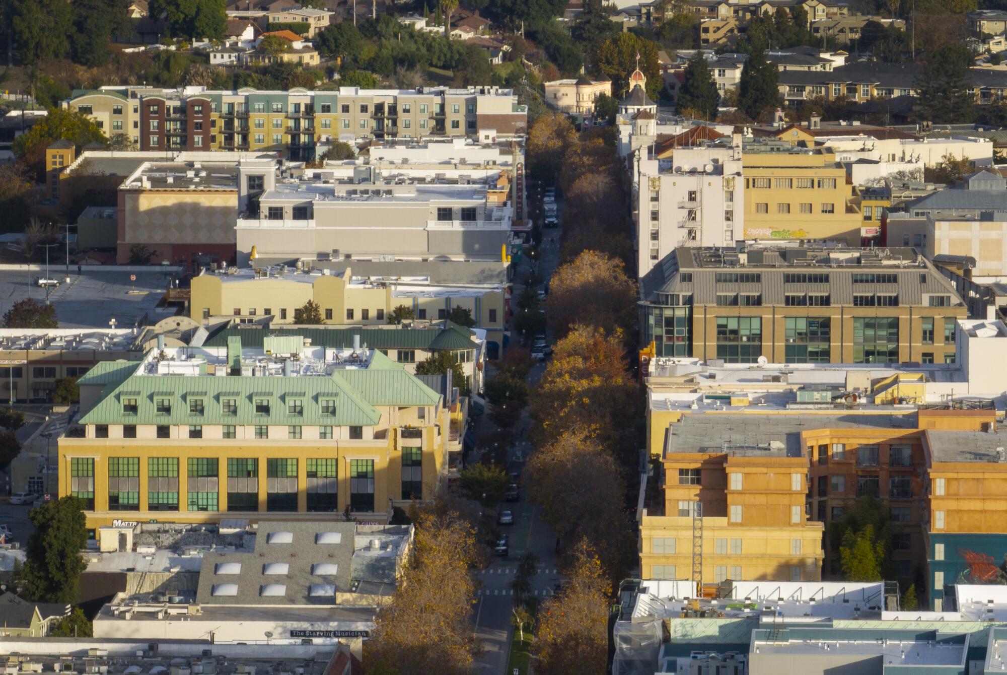 Luchtfoto van de met bomen omzoomde Pacific Avenue
