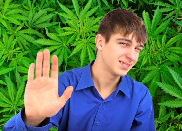 Het cannabisgebruik onder tieners neemt niet toe