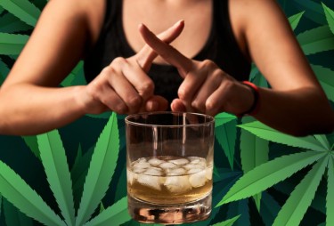 le cannabis bat l'alcool auprès des consommateurs