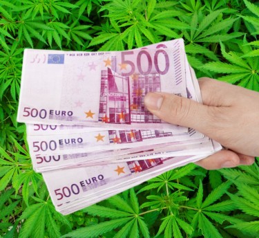 ヨーロッパの大麻ニュース