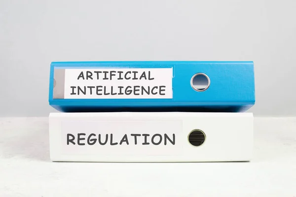 AI regulation in 2024