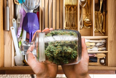 Cannabis Home kweekt drugskartels