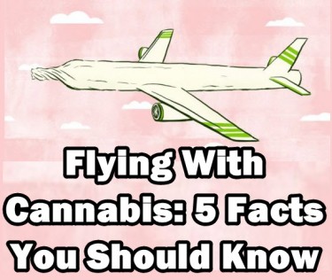 الطيران مع قواعد الماريجوانا