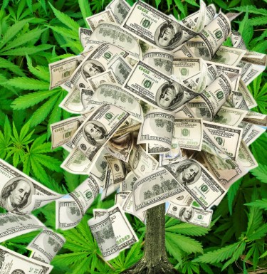 Ideeën voor het maken van cannabisgeld