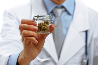 medicla marijuana doctor tampa