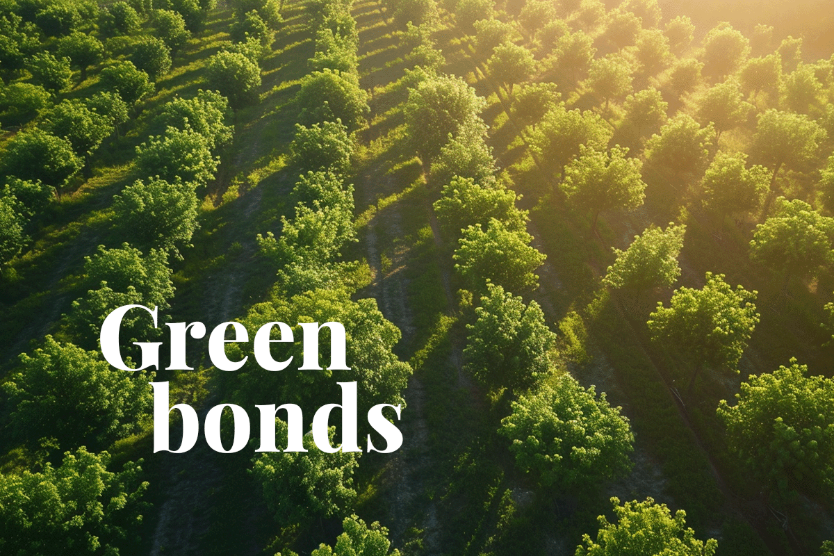 Alles wat u moet weten over groene obligaties_Luchtfoto van een bos met jonge bomen op een rij geplant_visual 1