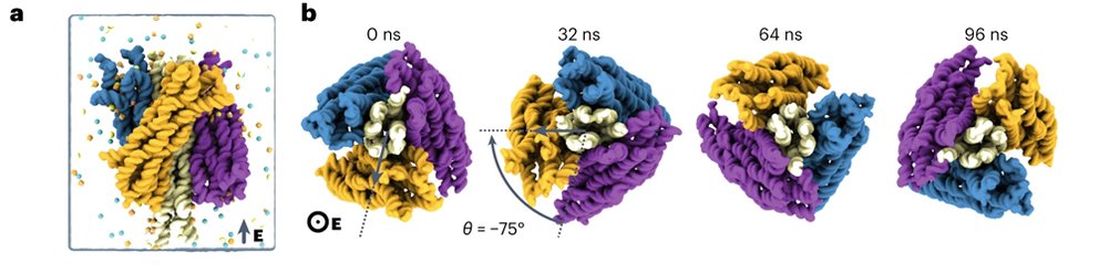 Simulatie van de moleculaire dynamica van alle atomen van een DNA-turbinerotatie