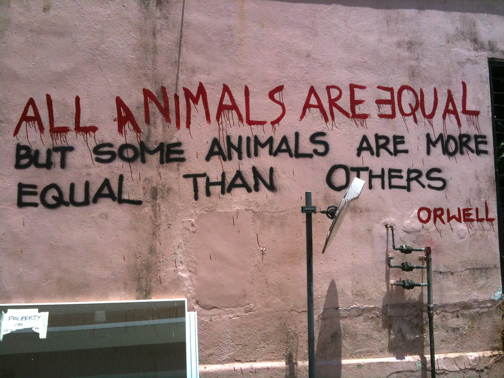 Texto de graffiti que dice "Todos los animales son iguales pero algunos animales son más iguales que otros"