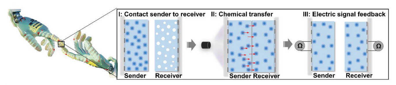 Schematische illustratie van het proces van chemische communicatie, inclusief informatieoverdracht, ontvangst en detectie