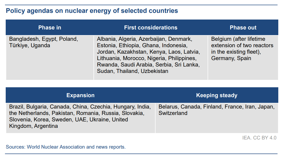 beleidsagenda's inzake kernenergie van geselecteerde landen