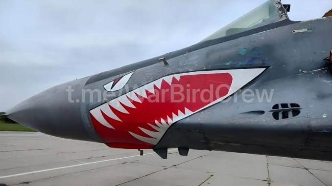 MiG-29 köpekbalığı ağzı