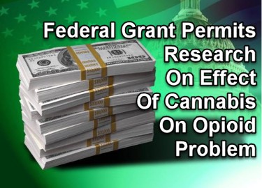 FEDERAL GRANT TO STUDY WEED AND OPIOID ADDICTION