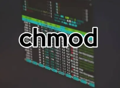 Filbehörigheter i Linux med chmod