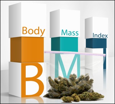 BMI를 낮추는 대마초