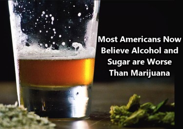 アルコール、大麻、砂糖に関する見解