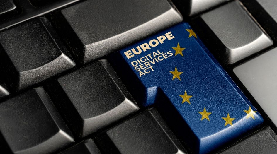 What impact will the EU Digital Services Act have on global e-commerce in 2024?