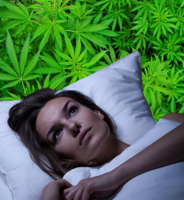 cannabis för sömnlöshetsstudie