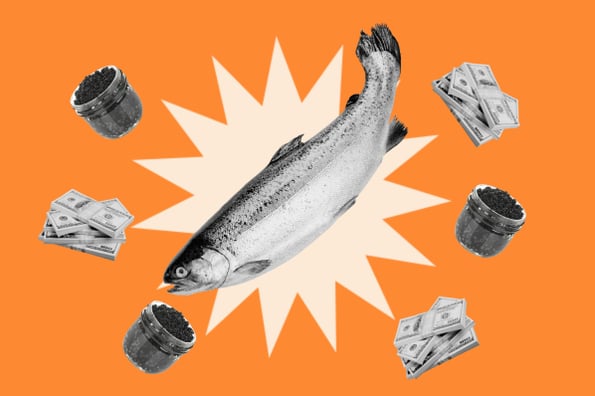 Pescado, caviar y fajos de dinero que representan la tendencia del caviar
