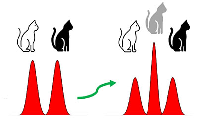 tạo ra một 'trạng thái mèo Schrödinger' quang tử