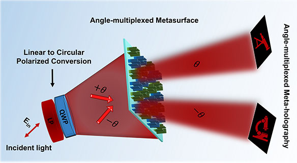 Écran méta-holographique polyvalent présentant différentes images en fonction de l'angle de vue