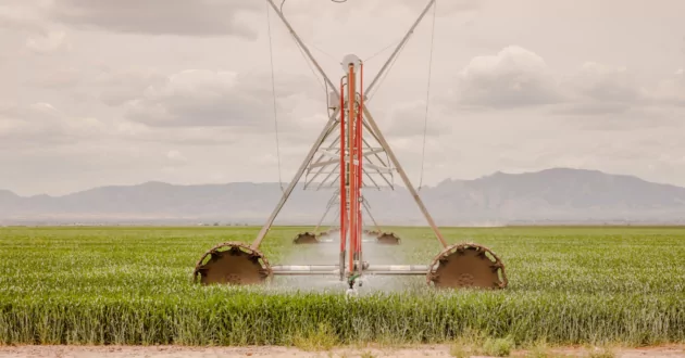 Høstefelt med stort vanningshjul som fungerer