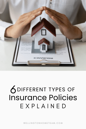 Se explican 6 tipos diferentes de pólizas de seguro