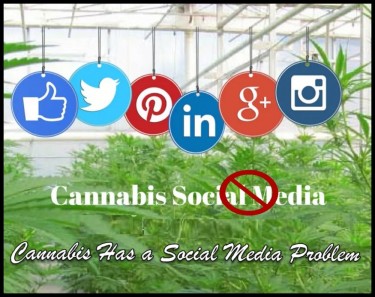 대마초는 소셜 미디어에서 허용되지 않습니다