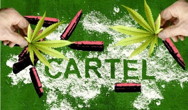 メキシコの麻薬カルテルがアメリカでマリファナを栽培