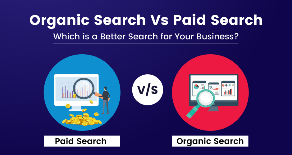 Organische Suche vs. Bezahlte Suche – eine bessere Suche für Ihr Unternehmen