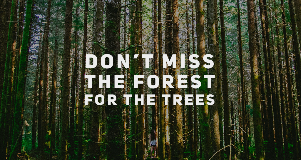 Een afbeelding van een bos op de achtergrond met de tekst "Mis het bos voor de bomen niet".
