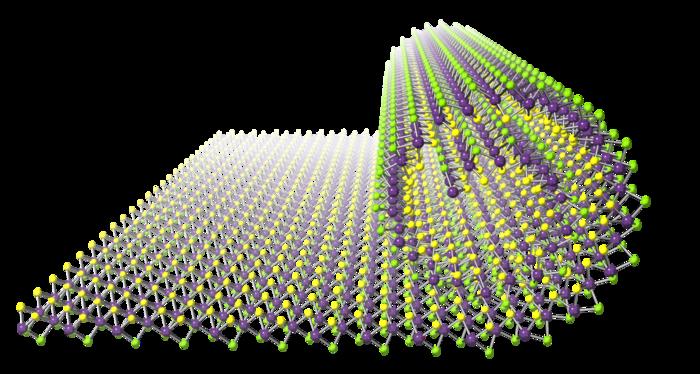 Janus nanosheets rolled into nanoscrolls