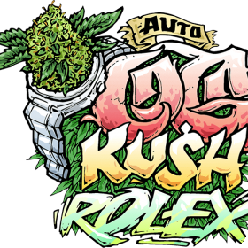 Og Kush Auto 女性化大麻種子 大麻種子マン 0