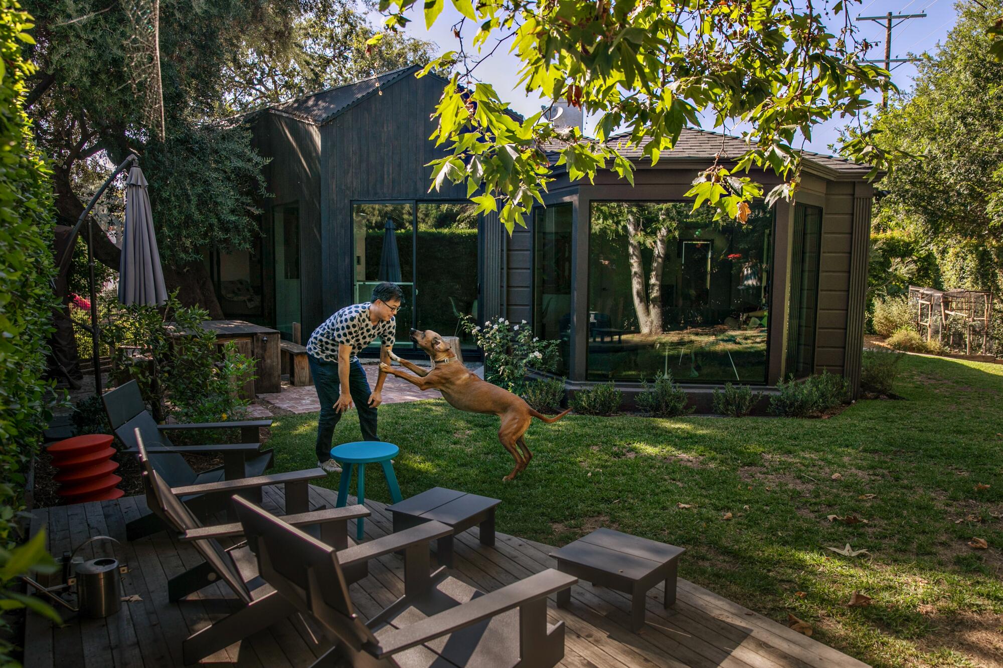 A man plays with a dog in a back yard.