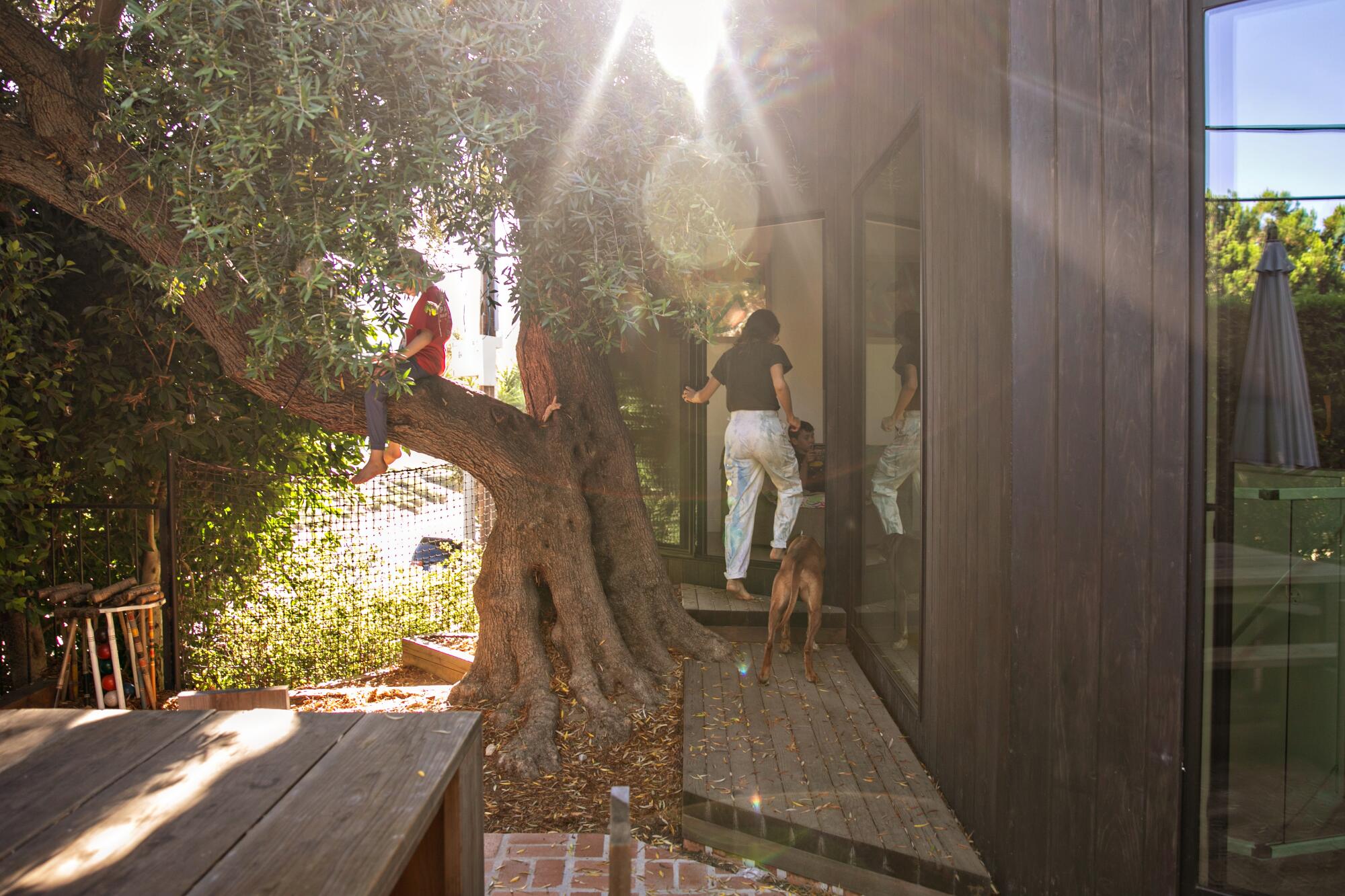 Eine Frau betritt zusammen mit einem Hund ein Haus, während draußen ein Junge auf einem Baum sitzt.