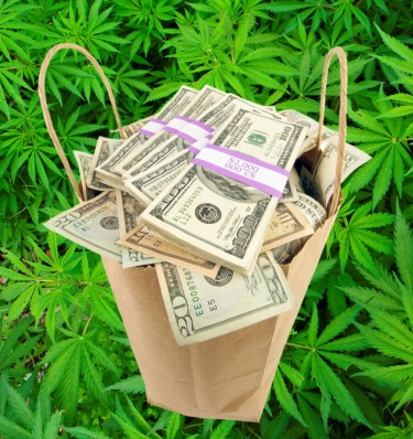 大麻の社会的影響料の返金