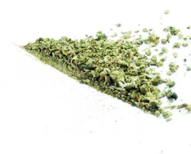 cannabis kief en shake