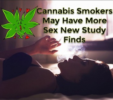 الماريجوانا ودراسة الجنس