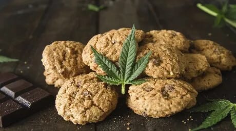 自宅で作れる大麻レシピ10選