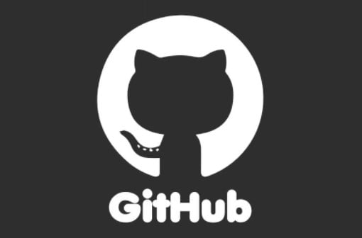 Github-Logo dunkel