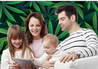 föräldrar som använder cannabis räkningen lagt sitt veto