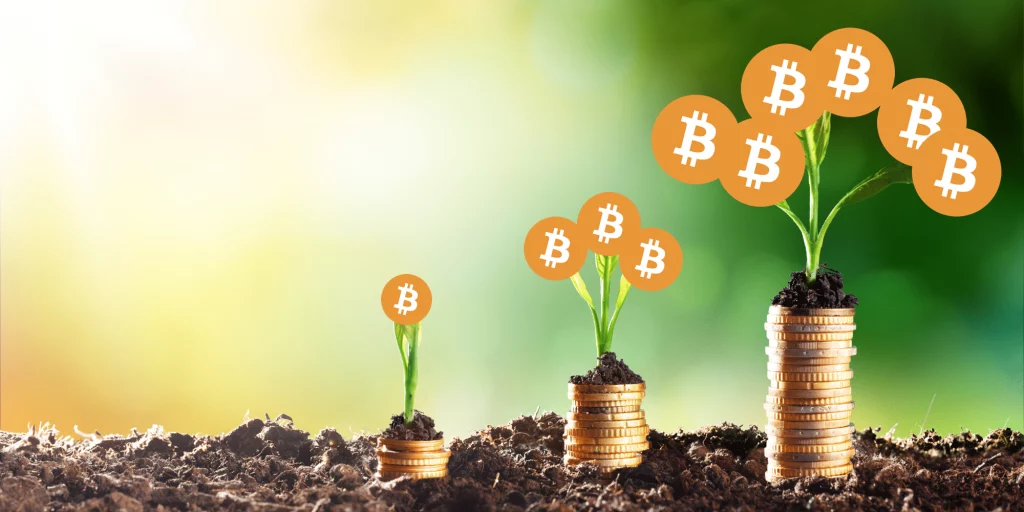 Bitcoin-groei