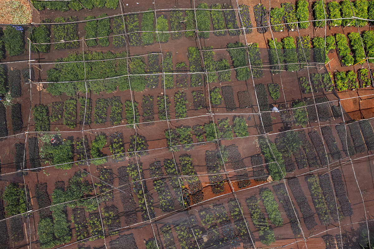 290224_Jak-zmniejszyć-emisję-emisję-podróży-biznesowych za pomocą rozwiązań opartych na naturze_Widok z drona jednej z naszych szkółek drzew w ramach projektu ponownego zalesiania Hongera, Kenia_blog_Visual-3