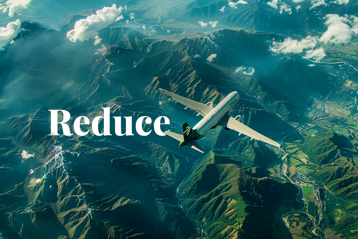 290224_Come ridurre le emissioni dei viaggi d'affari con soluzioni basate sulla natura_Immagine di un aereo commerciale che sorvola alcuni paesaggi naturali della Nuova Zelanda_blog_visual 1.png
