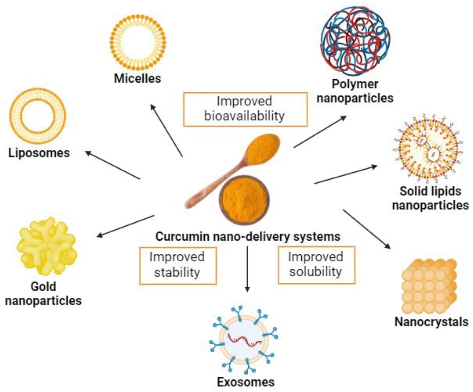 Voorbeelden van curcumine nano-toedieningssystemen.