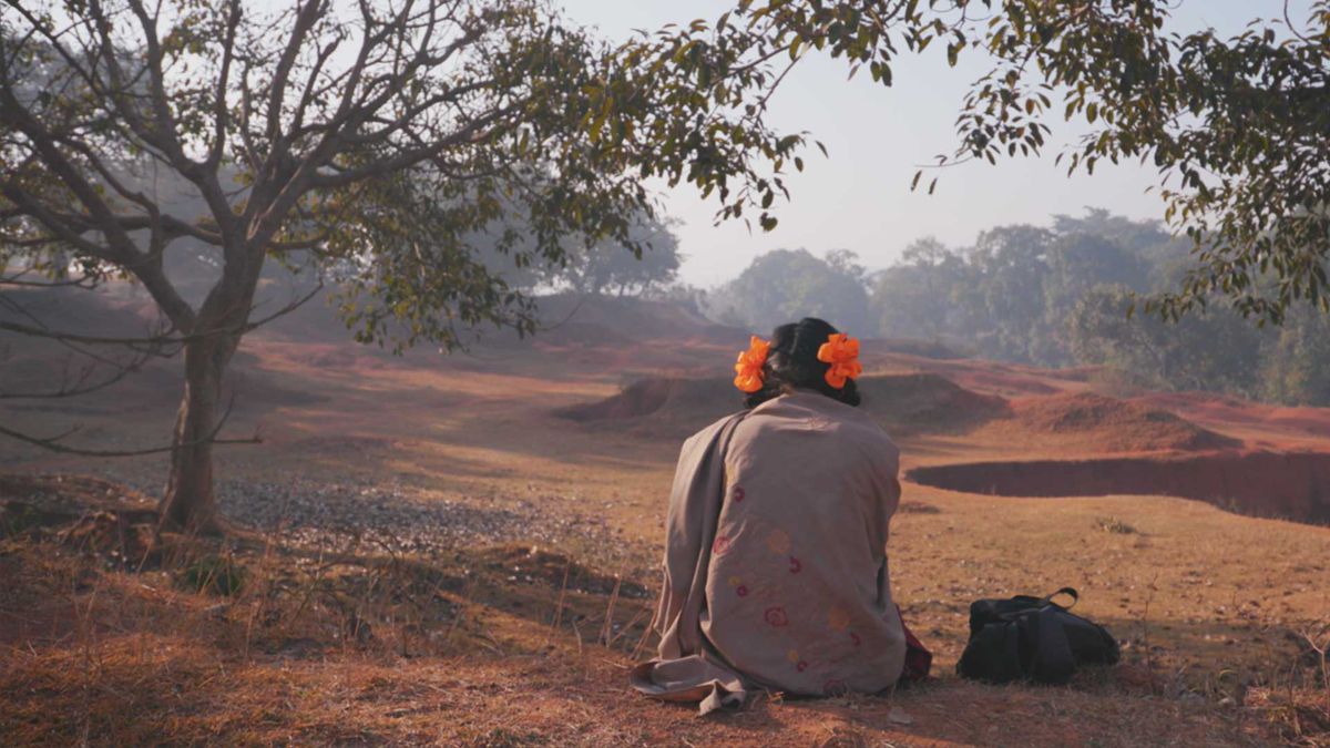Der Rücken einer Person mit orangefarbenen Schleifen im Haar, die auf ein Feld mit Ebenen und Bäumen blickt.