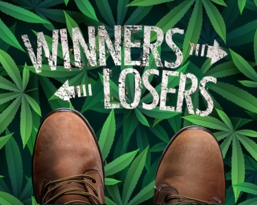 WINNERS OR LOSERS FROM RESCHEDULING WEED