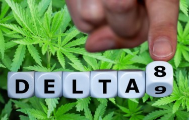 Bundesgesetze für Delta8 Delta9 THC