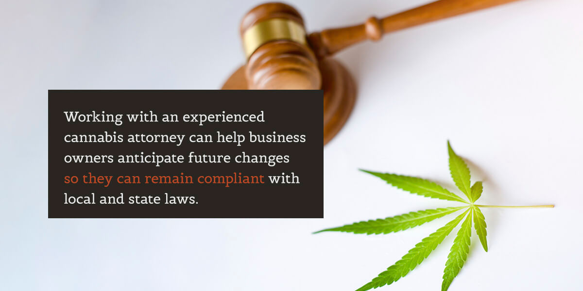 Un mazo y una hoja de cannabis que simbolizan consideraciones legales en la industria del cannabis.